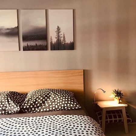 Apartament Centrum Zielona Góra Eksteriør billede