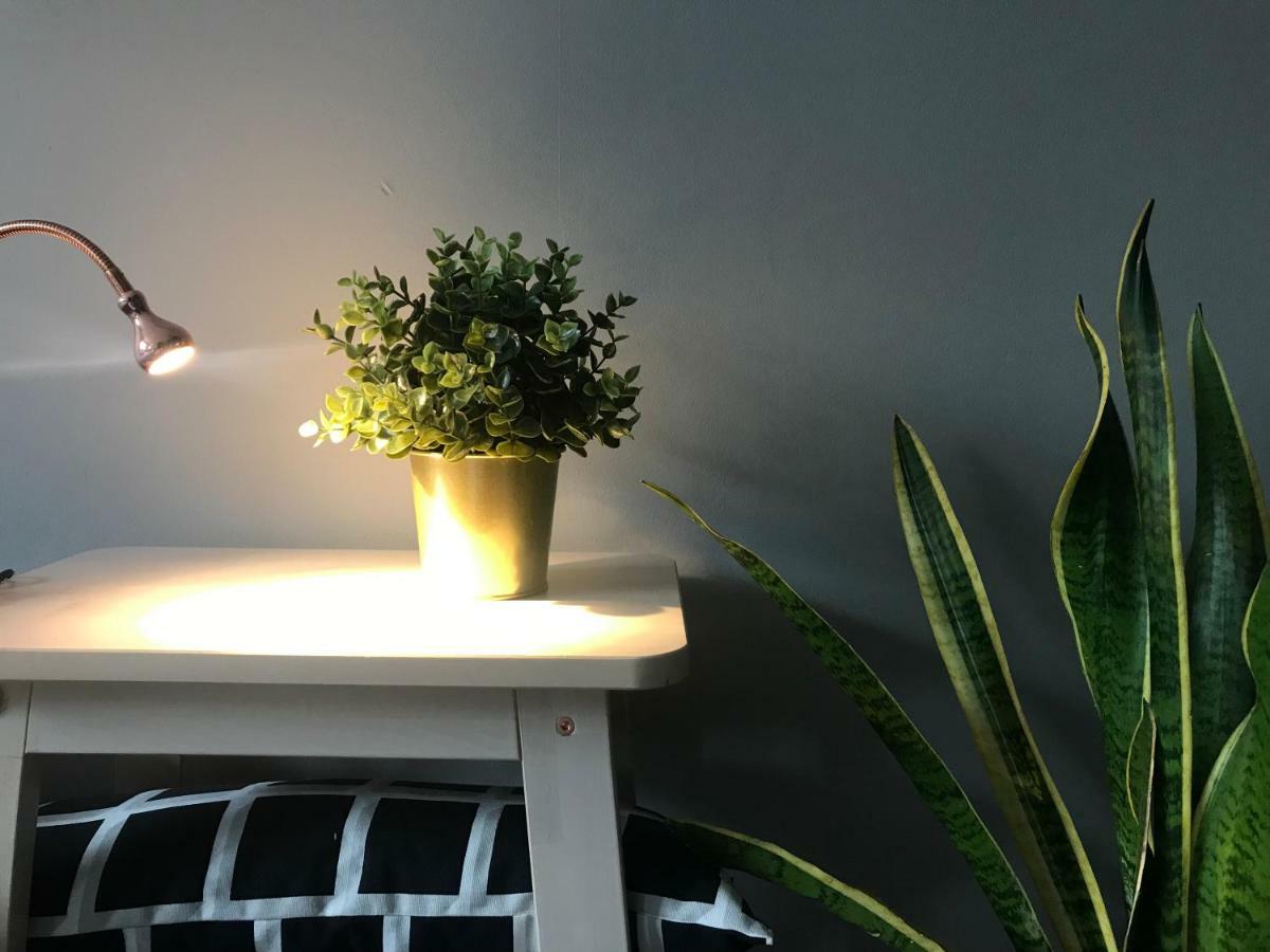 Apartament Centrum Zielona Góra Eksteriør billede